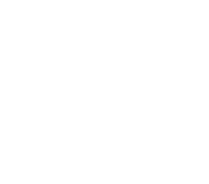 Chris King Logo